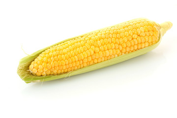 corn isolated on white