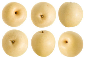 Chinese White Pear (Duck Pear; Ya Pear)