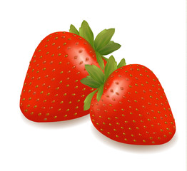 Two strawberries with leaves . Vector.