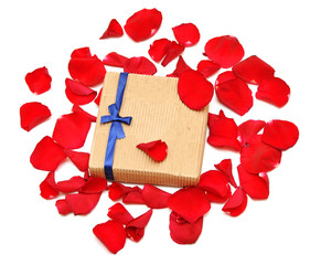 red rose petals and gift