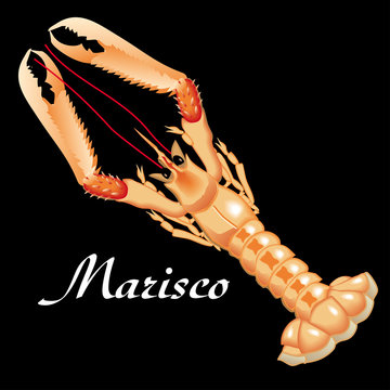 cigala, marisco crust&aacute;ceo
