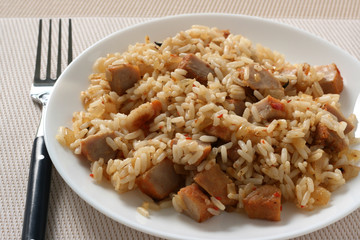 fried rice with pork
