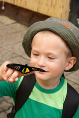 The boy holds a black butterfly on his finger and looks at it