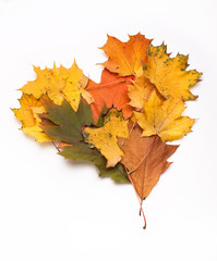 Naklejka na ściany i meble Autumn leaves - heart