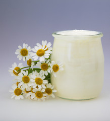 Obraz na płótnie Canvas Jogurt z kwiatów rumianku