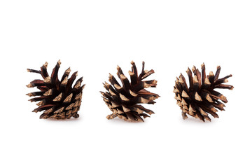 Naklejka na ściany i meble pine cones isolated on white background