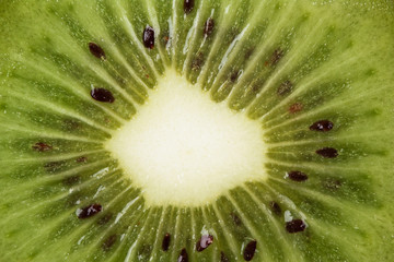 close up kiwi fruit background