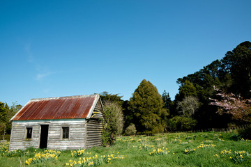 Abandoned farmhouse.