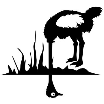Vogelstrauss Vektorgrafik