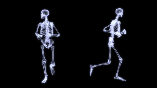 Slow motion radiography of a human skelegon running.