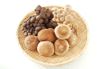 3種類のキノコの盛り合わせ