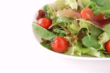 フレッシュグリーンサラダ