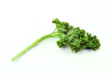 raw green parsley isolated over white