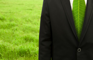 Businessman with green leaf tie on the grass field