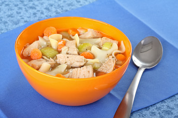 Bowl of Chicken Noodle Soup