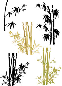 bamboo collection on white