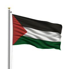 Flag of Palestine waving in the wind in front of white