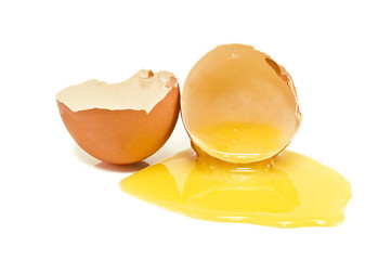 broken egg
