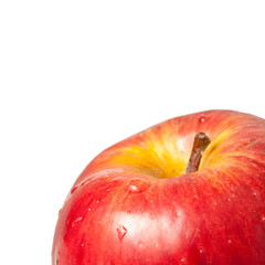 Red wet apple on white background