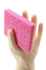Hand in Rubber Glove  Holding Sponge