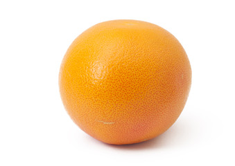 Fruit