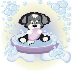 Puppy, washing in the bath .