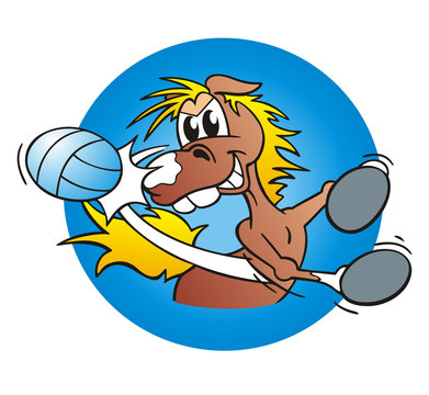 Grazy Horse Beachvolleyball