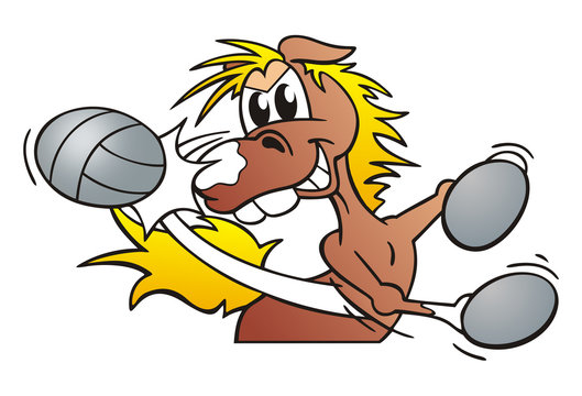 Grazy Horse Volleyball