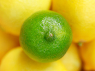 Lime and Lemons