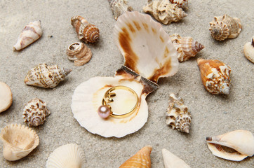 anello nella conchiglia