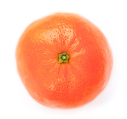 Single Mandarin Orange Against White Background