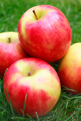 Fresh Pink Red lady apples