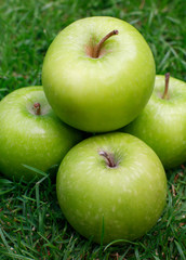 Granny smith apples on Garden Grass
