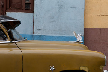 Voiture de mariés Cubaine