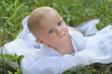Cute small boy in green grass