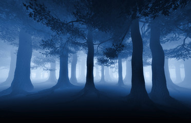 dark forest