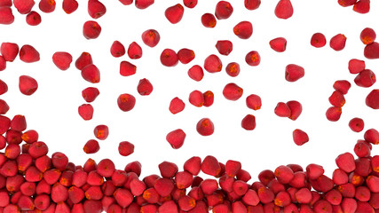 Filling the frame with red apples