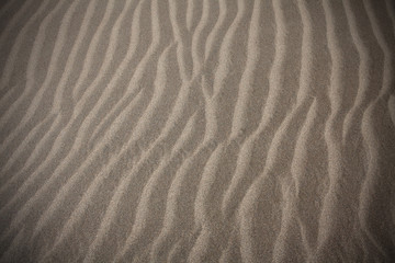 Fototapeta na wymiar Dunes texture