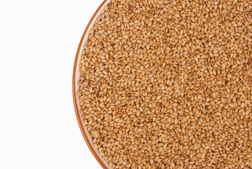 Sesame