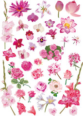 large collection with pink flowers