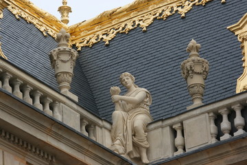 Fototapeta na wymiar Toiture du Château de Versailles (Yvelines)