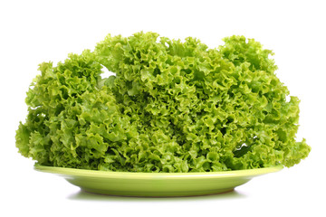 Fresh green leaf lettuce on plate. White background.