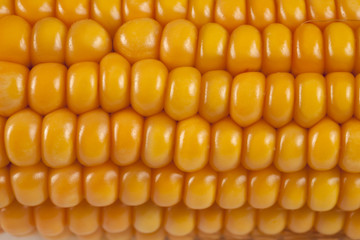 Maiskolben, Detail