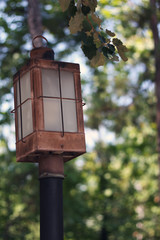 Lamp post in forested area