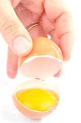 Jaune d'oeuf dans sa coquille