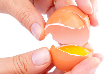 Séparation de la coquille