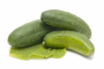 ecological cucumbers
