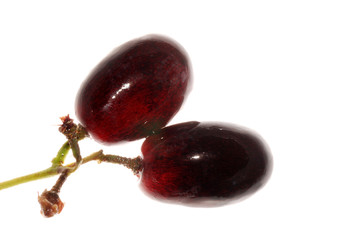 grape isolated