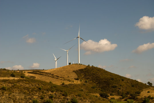 Wind turbines farm.