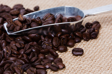 Coffee Beans and Scoop